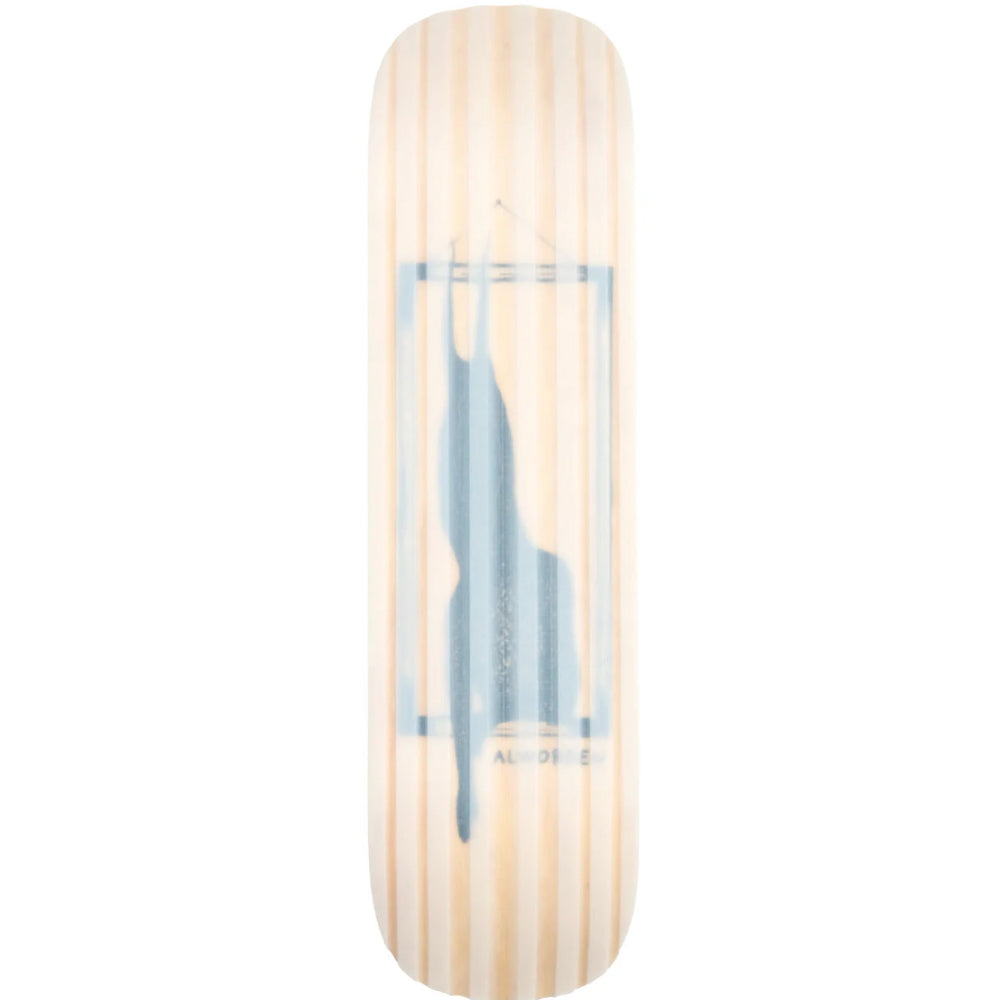 Ambition Premium Alworden Signature 2024 Snowskate Bottom Design