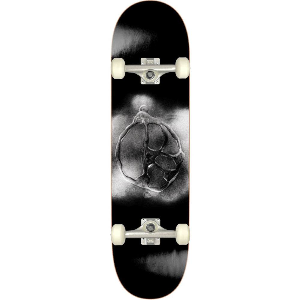 Polar Skate Co. Team Stroke Black 8.0 - Custom Skateboard