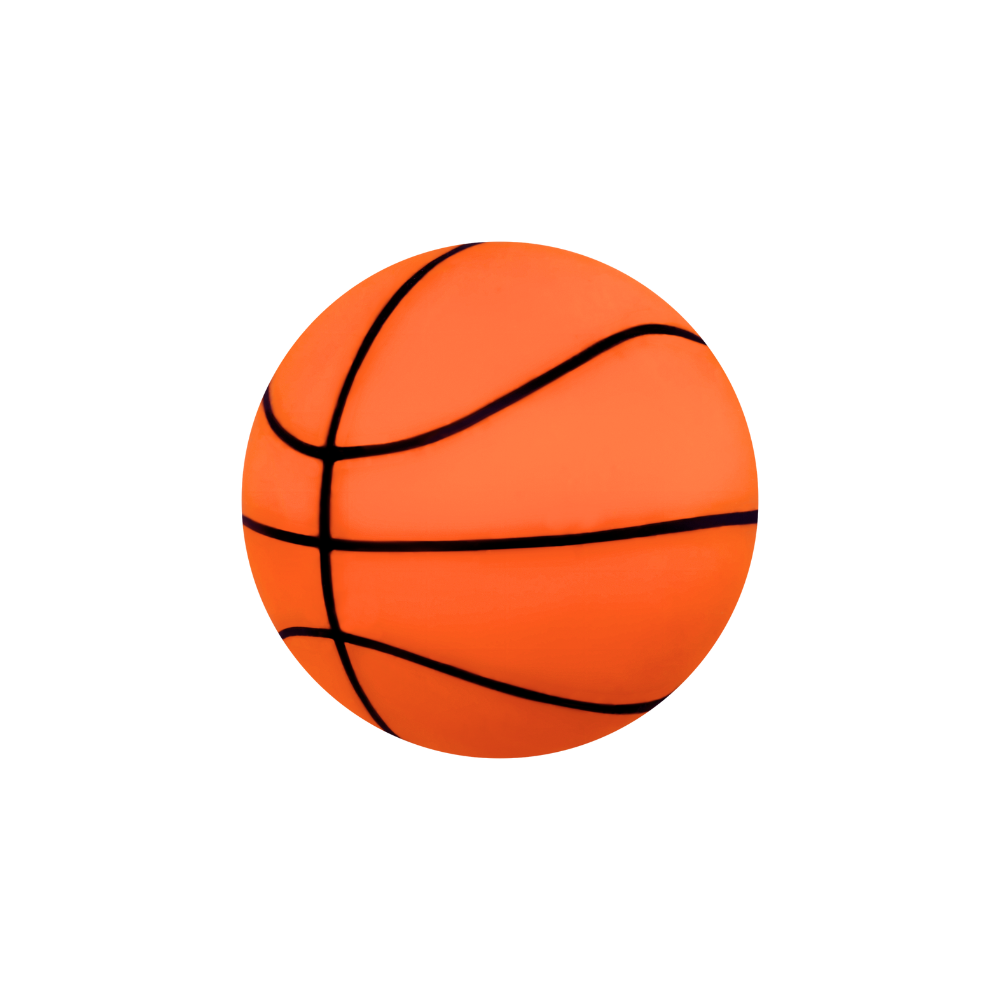 Squishi Sports Balls Basket Ball