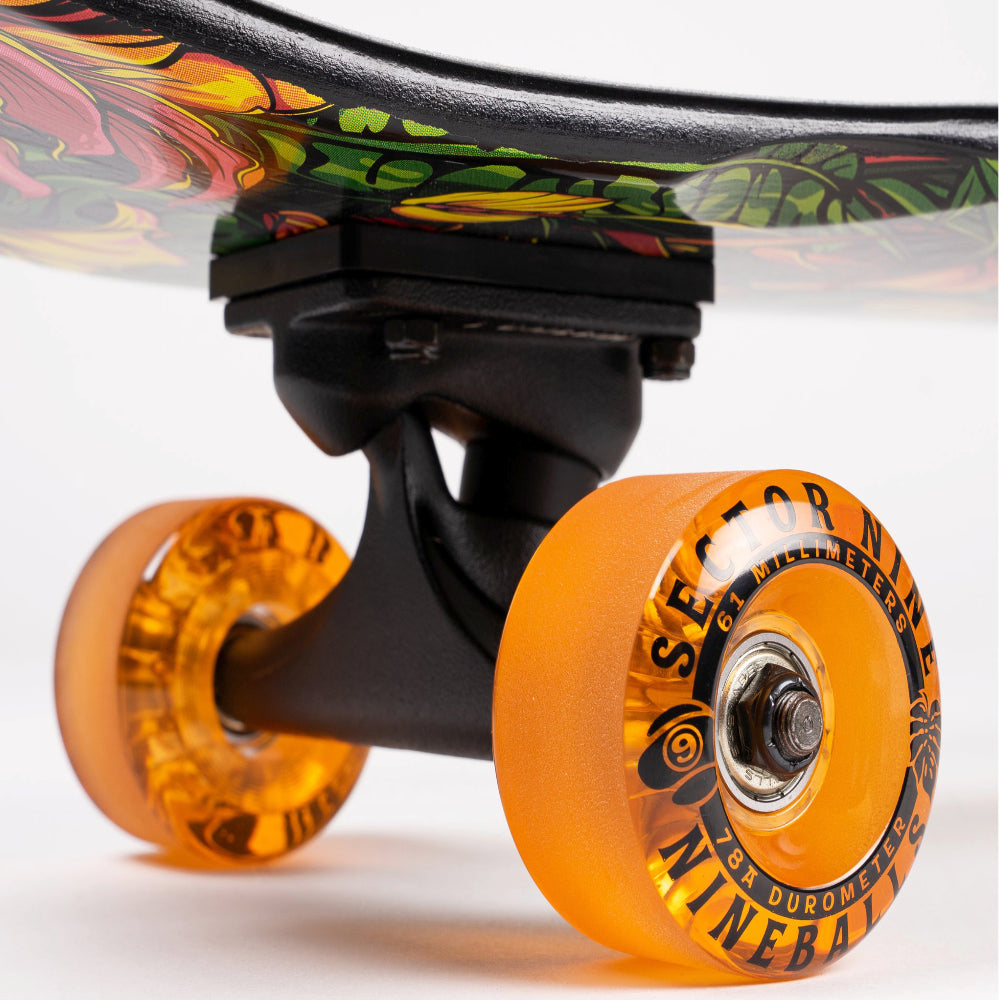 Sector 9 FT. Eden - Longboard Complete Trucks And Wheels