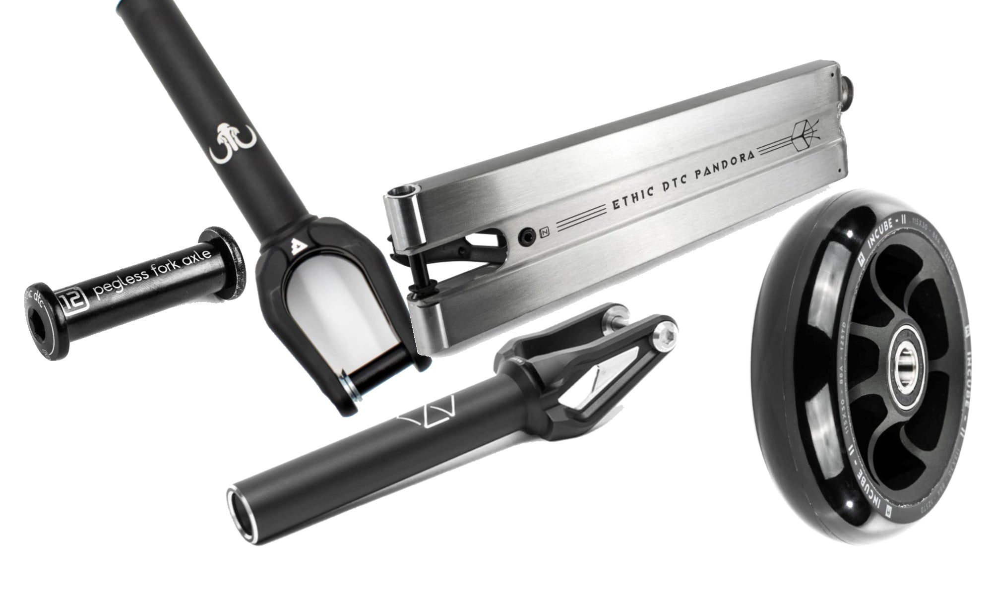 Introduction to the 12 Standard