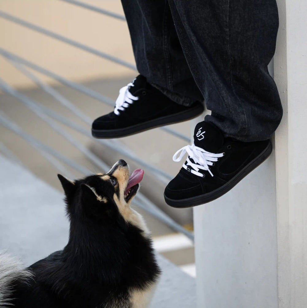 éS Accel Black Shoes Lifestyle Picture With Dog