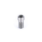 Ethic DTC Titanium Clamp Screw Raw