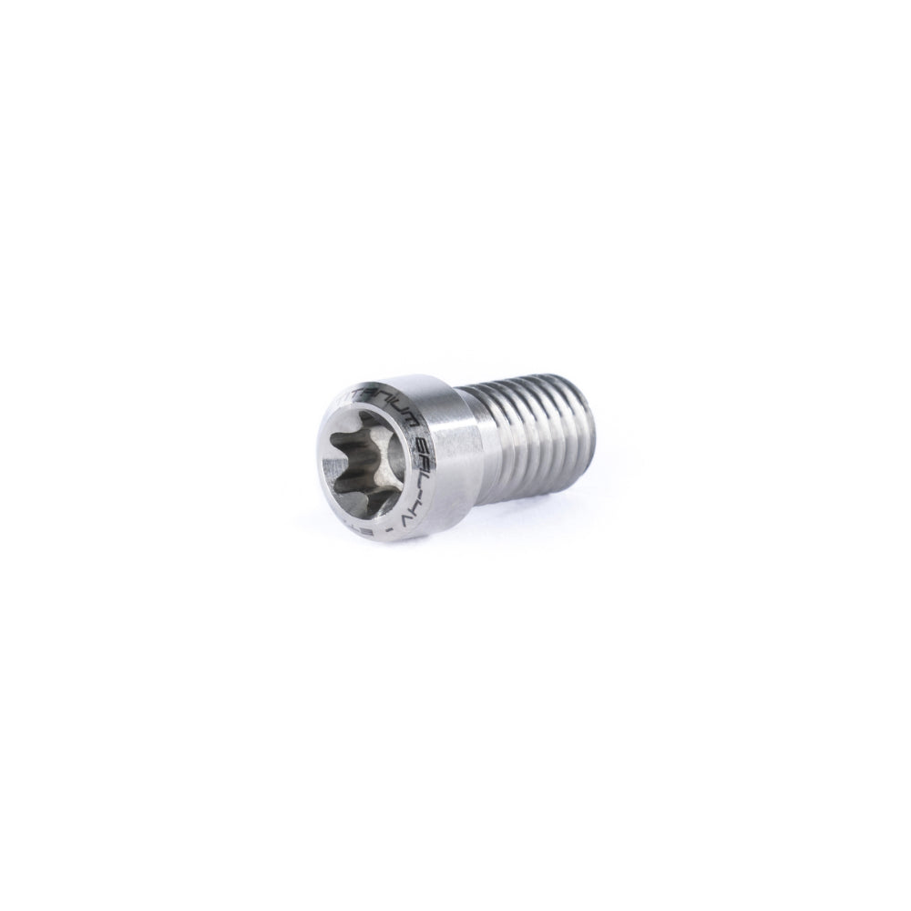 Ethic DTC Titanium Clamp Screw Raw Angle