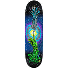 Santa Cruz Pro Wooten Contact 8.5 - Skateboard Deck