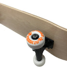 The Blank Deal 7.5  Skateboard Complete 53mm Wheels