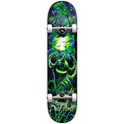 Darkstar Woods FP Green Blue 8.125 - Skateboard Complete