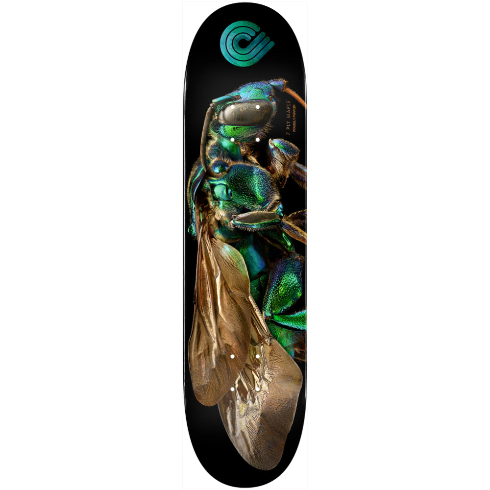 Powell Cuckoo Bee Shape 242 8.0 - Skateboard Deck