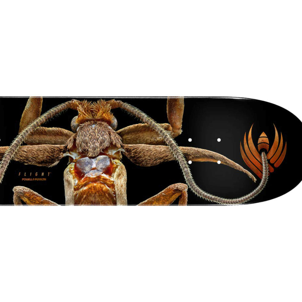 Powell Peralta Marion Moth Shape 243 8.25 - Skateboard Deck Close Up